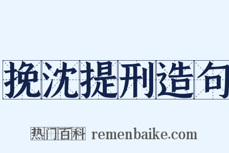 挽沈提刑造句是什么意思的图片